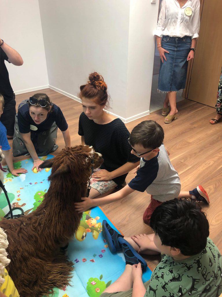 spotkanie z alpakami warszawa