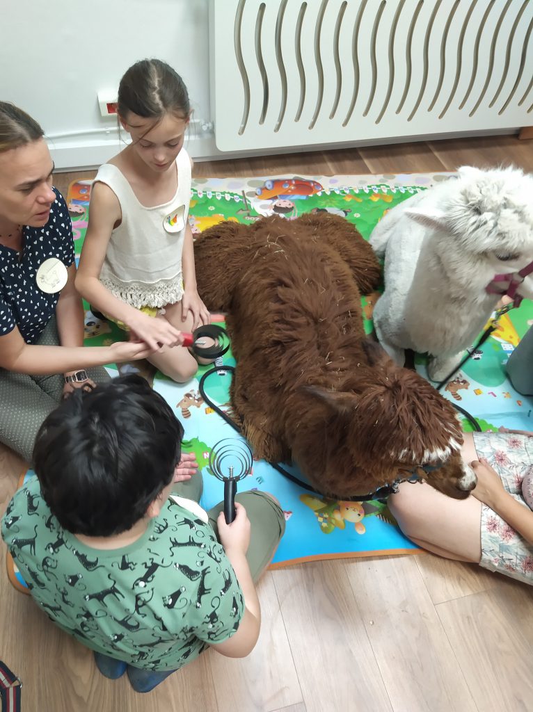 zajęcia dla dzieci z autyzmem z alpakami warszawa