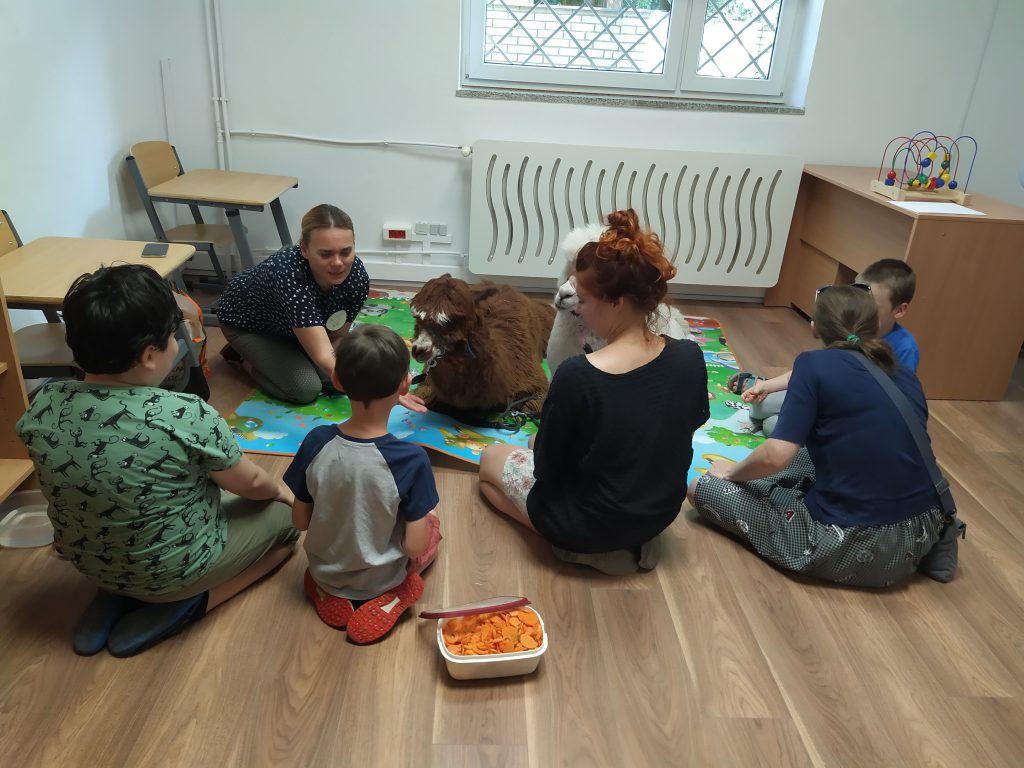 dzieci w szkole z alpakami