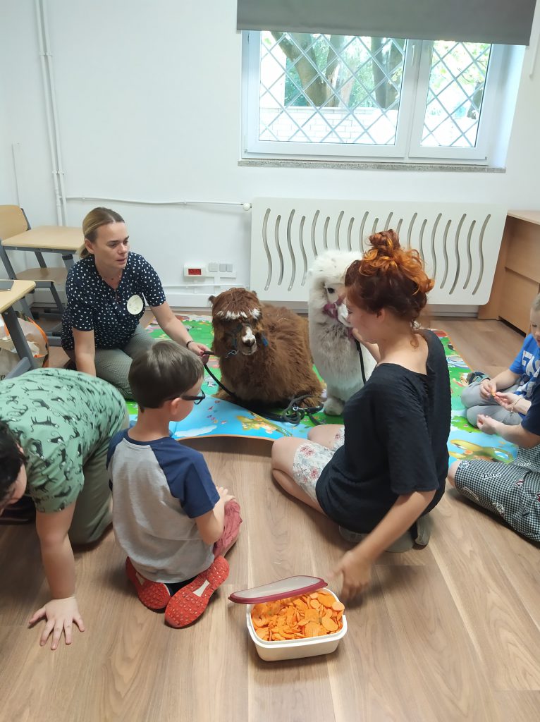 spotkanie z alpakami dla dzieci