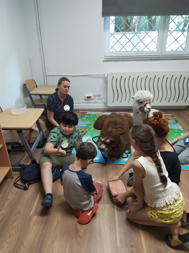 szkoła terapeutyczna spotkanie z alpakami