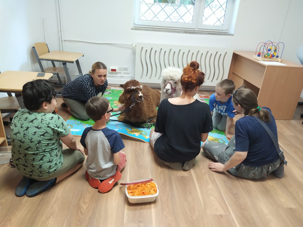 alpaki w szkole terapeutycznej warszawa